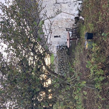 Littles Cottage, Heart Of The Mournes Annalong Exterior photo