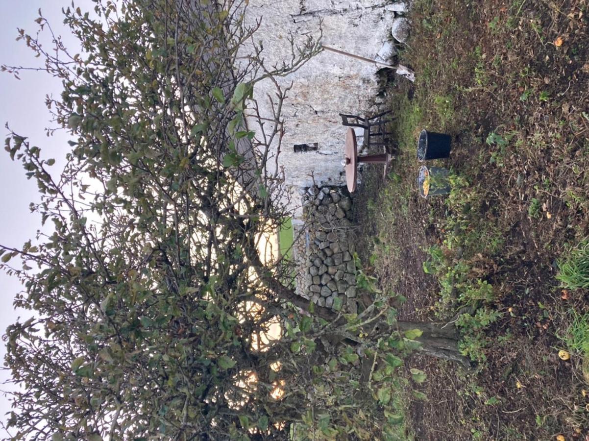 Littles Cottage, Heart Of The Mournes Annalong Exterior photo